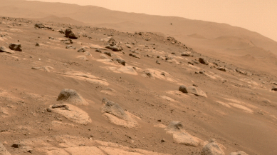 Red dirt and rocks on the surface of Mars