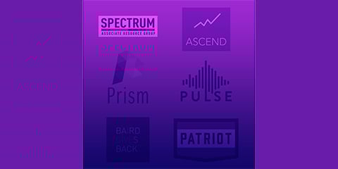 Collage of Baird Associate Resource Group logos