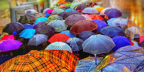 Large group of open, colorful umbrellas in an urban setting on a rainy day.