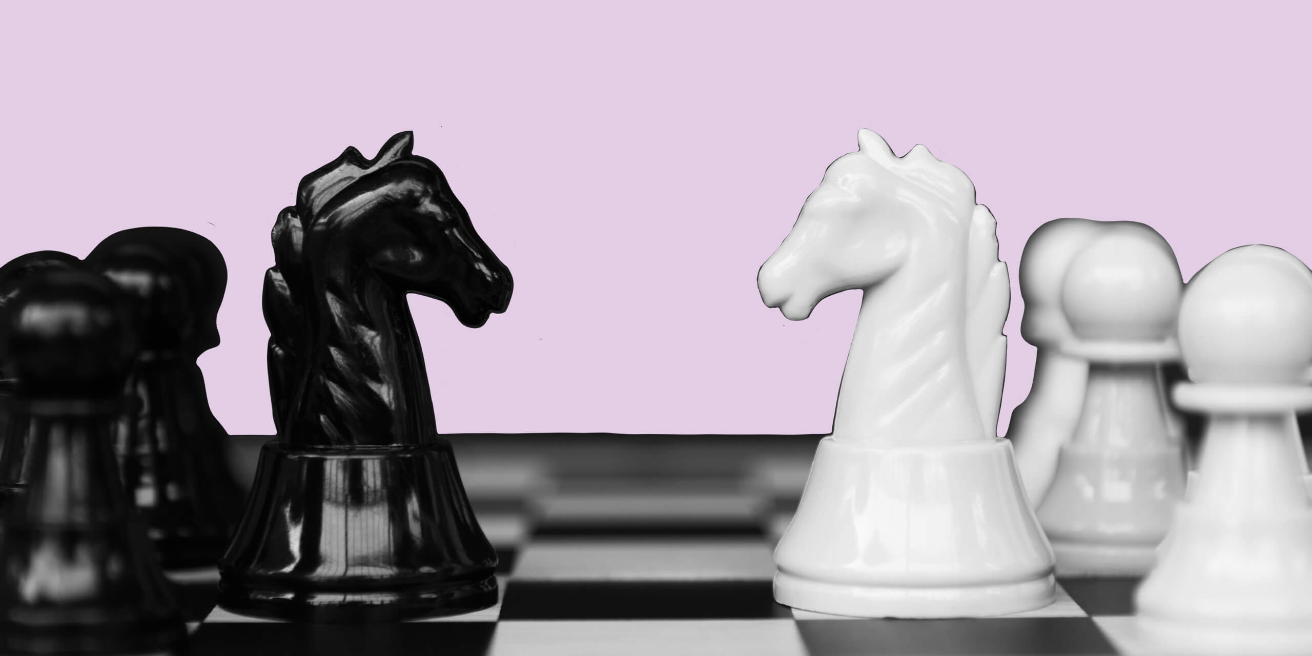Black and white knight chess pieces on chess board