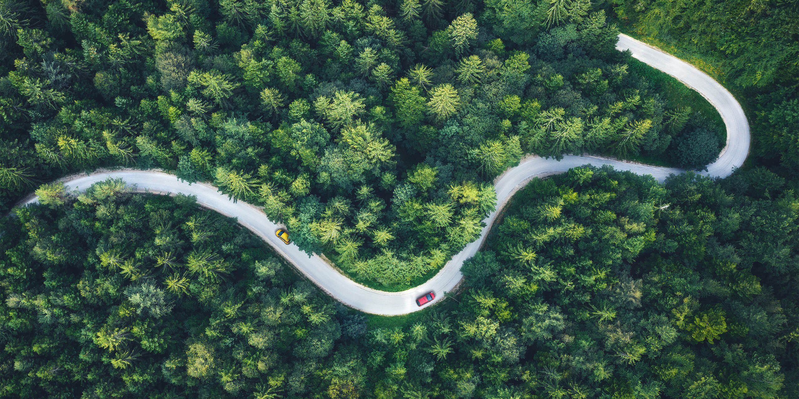 Aerial view of winding road through the green forest