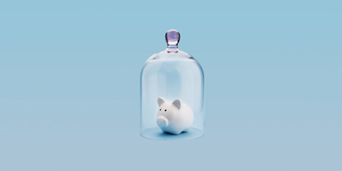 Piggybank protected under a glass dome