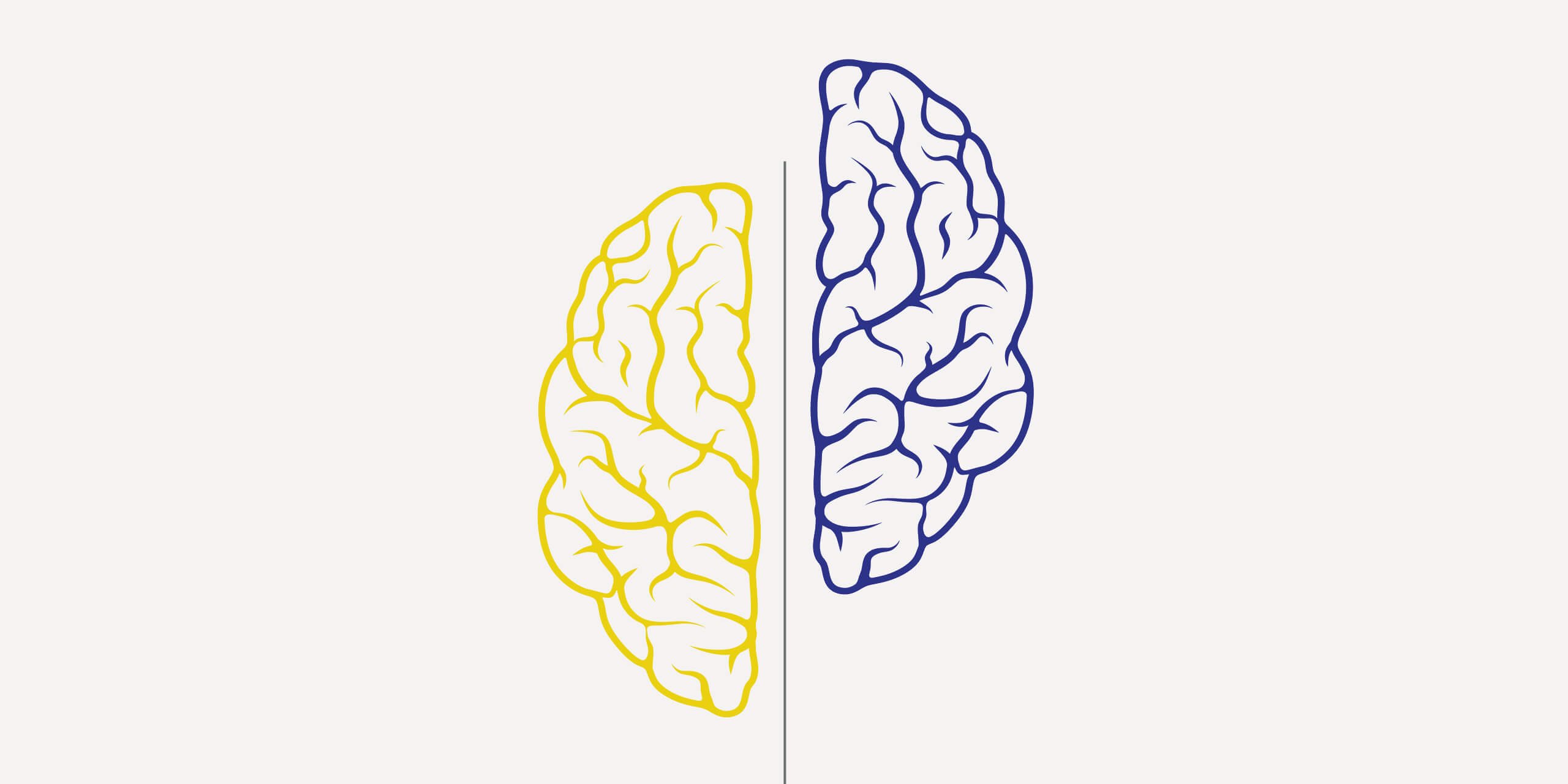 Illustration of a brain where the two sides are separated and shifted apart from one another